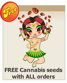 Free Cannabis Seeds
